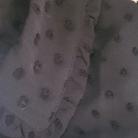 Textured Button-Front Ruffle Collar Blouse - Picture 7 of 10